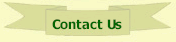 Contact Evergreen Solutions